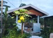 Heri Afni Angkat Bicara Terkait Rumah nya Rusak Parah dan Bau Busuk Menyengat Akibat Ipal Bocor