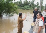 Bupati Kuansing Berharap Pemerintah Pusat Gesa Perbaikan Jembatan Yang Rusak Akibat Banjir