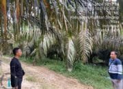 Respon Cepat Polsek Singingi Tentang Adanya Alat Berat Yang Digunakan Untuk PETI di Desa Kebun Lado