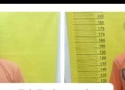 Gasak TV Warga Saat Rumah Ditinggal Pergi, 2 Pengangguran Diciduk Polsek TPTM