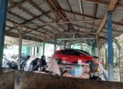 Dengan Sarana Bersilaturahmi, Bhabinkamtibmas Polsek Tambang Beri Himbauan Pemilu Damai