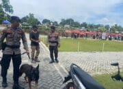 Subsatgas Satwa Ops Ketupat LK 2024 Libatkan Satwa K9 Dalam Sterilisasi Tempat Wisata
