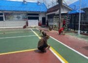 Tingkatkan Kebersihan dan Kenyamanan, Lapas Kelas II A Pekanbaru Lakukan Perawatan Bangunan