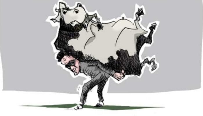 Waduh! Kades Bhayangkara Jaya Rohil Damelia Ritonga Diduga Gelapkan Sapi Milik Desa