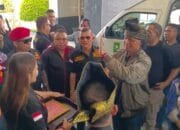 Ketua Umum GRIB Jaya Hercules Tiba di Pekanbaru Disambut Dengan Pemberian Tanjak Khas Melayu