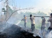 Kapolres Pelalawan Pimpin langsung Pemadaman dan Pendinginan Karhutla di Desa Kuala Terusan Kecamatan Pangkalan Kerinci