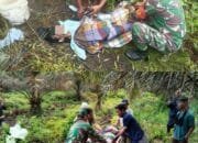 Diduga Sakit dan Kelaparan, Wanita Ini Ditemukan di Dalam Kebun Sawit dan Meninggal di RS