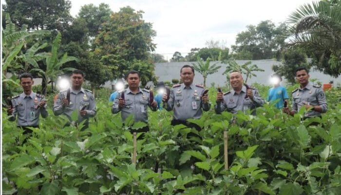Program Ketahanan Pangan dan Pembinaan Kemandirian, Lapas Pasir Pengaraian Panen Terong dan Telor Bebek
