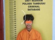 Polsek Tambusai Bekuk Pelaku Penadahan di Tambusai Barat