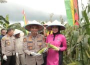 Polres Kuansing Ikuti Vidcon Panen Raya Jagung Serentak Tahap 1 Dalam Rangka Dukung Swasembada Pangan Tahun 2025