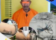 Tragedi di Tambusai: Seorang Anak Tewas Tersengat Listrik, Pemilik Perangkap Ditangkap