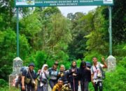 Pertemuan Tak Terduga di Puncak Sibayak: Pendaki Rohul Bertemu Putri Handayani, Sang Penjelajah Kutub Selatan