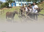Kepala Kejari Rohul Serahkan Hewan Kurban ke Islamic Center: Wujud Kepedulian dan Sinergi di Hari Raya Idul Adha