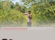 Polsek Rambah Hilir Gencar Patroli Karhutla, Edukasi Warga Cegah Kebakaran Sejak Dini