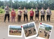 Sinergi Polsek Kunto Darussalam dan Masyarakat, Tanam Jagung Dukung Ketahanan Pangan Nasional
