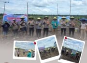 Lahan 2 Hektar Dibuka! Polsek Bonai dan Petani Desa Pauh Serentak Tanam Jagung Pipil