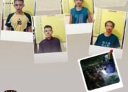 Polsek Kunto Darussalam Tangkap 4 Pelaku Pencurian Buah Sawit di PT Ekadura