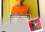 Gauli Anak Dibawah Umur, Polsek Tambusai Utara Tangkap Seorang Pemuda