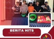 Polsek Kabun Grebek Bandar Narkotika, Sita 11,79 Gram Ganja