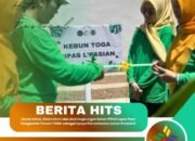 Gerak Sehat, Silaturahmi dan Aksi Lingkungan Sehat: PIPAS Lapas Pasir Pengaraian Tanam TOGA sebagai Upaya Pemanfaatan Lahan Produktif