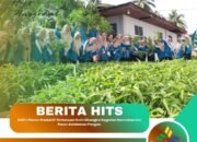 DWP L’Pasian Produktif: Pertemuan Rutin Dirangkai Kegiatan Bermakna dan Panen Ketahanan Pangan