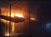 Pasar Burung Joyo Madiun Dilalap Api: Puluhan Burung Tewas, Empat Kios Tinggal Arang