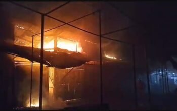 Pasar Burung Joyo Madiun Dilalap Api: Puluhan Burung Tewas, Empat Kios Tinggal Arang