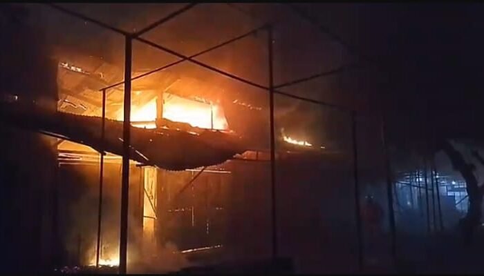 Pasar Burung Joyo Madiun Dilalap Api: Puluhan Burung Tewas, Empat Kios Tinggal Arang