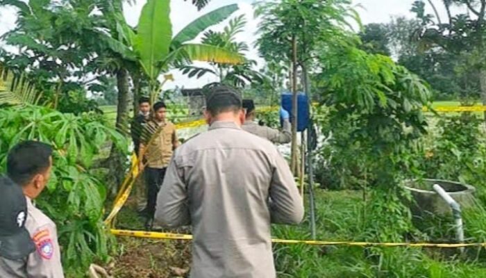 Tewas di Sawah Sendiri: Kabel Sibel, Gigitan Tikus, dan Listrik yang Tak Pernah Dimatikan