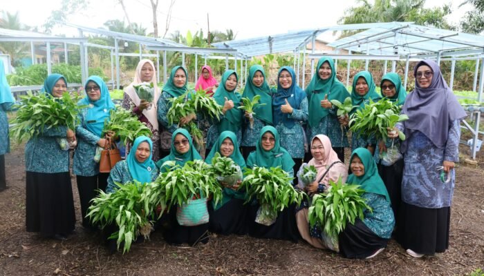 Ketua TP PKK Siak Apresiasi Panen Perdana Rumah Hidroponik KWT Benteng Lestari, Tekankan Konsistensi