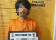 Polsek Tambang Tangkap Pelaku Pencurian Berondolan Sawit, Tiga Orang DPO