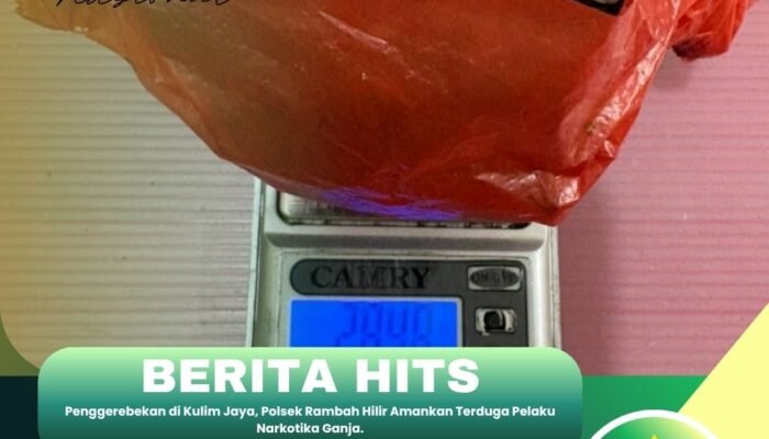 Penggerebekan di Kulim Jaya, Polsek Rambah Hilir Amankan Terduga Pelaku Narkotika Ganja