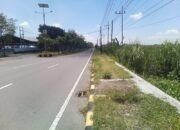 Magetan di Persimpangan: Ketika Kota Wisata Perlahan Terlihat Terabaikan