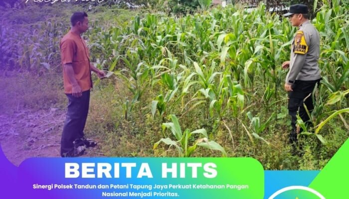 Sinergi Polsek Tandun dan Petani Tapung Jaya Perkuat Ketahanan Pangan Nasional Menjadi Prioritas