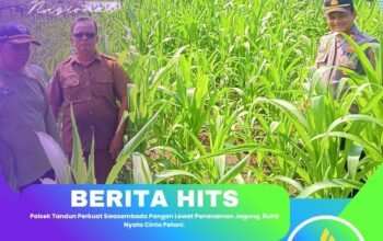 Polsek Tandun Perkuat Swasembada Pangan Lewat Penanaman Jagung, Bukti Nyata Cinta Petani