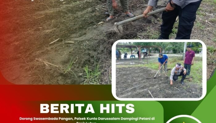 Dorong Swasembada Pangan, Polsek Kunto Darussalam Dampingi Petani di Pasir Luhur