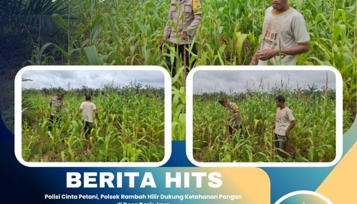 Polisi Cinta Petani, Polsek Rambah Hilir Dukung Ketahanan Pangan di Desa Pasir Jaya