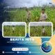 Polisi Cinta Petani, Polsek Rambah Hilir Dukung Ketahanan Pangan di Desa Pasir Jaya