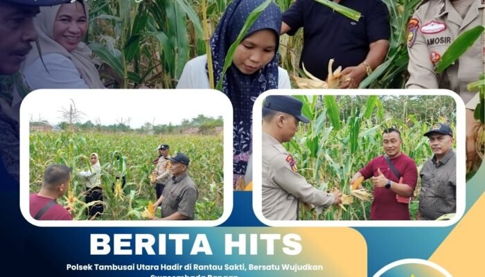 Polsek Tambusai Utara Hadir di Rantau Sakti, Bersatu Wujudkan Swasembada Pangan