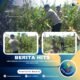 Polsek Tambusai Utara Gelorakan Swasembada Pangan, Jagung Hibrida Jadi Fokus Pemantauan