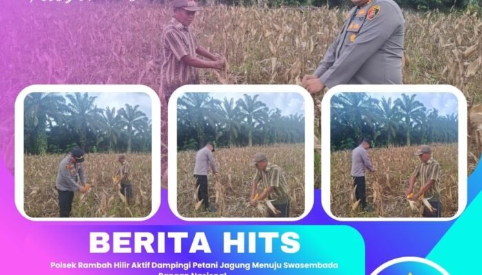 Polsek Rambah Hilir Aktif Dampingi Petani Jagung Menuju Swasembada Pangan Nasional