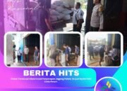 Polsek Tambusai Utara Kawal Penyerapan Jagung Petani, Wujud Nyata Polisi Cinta Petani
