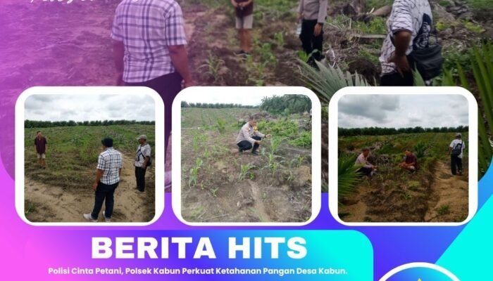 Polisi Cinta Petani, Polsek Kabun Perkuat Ketahanan Pangan Desa Kabun