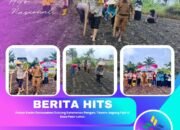 Polsek Kunto Darussalam Dukung Ketahanan Pangan, Tanam Jagung Pipil di Desa Pasir Luhur