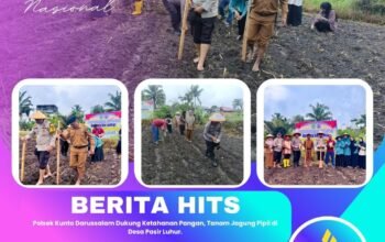 Polsek Kunto Darussalam Dukung Ketahanan Pangan, Tanam Jagung Pipil di Desa Pasir Luhur