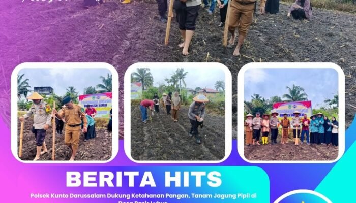 Polsek Kunto Darussalam Dukung Ketahanan Pangan, Tanam Jagung Pipil di Desa Pasir Luhur