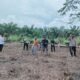 Polsek Rokan IV Koto Dukung Swasembada Pangan, Tanam Jagung di Cipang Kiri Hulu