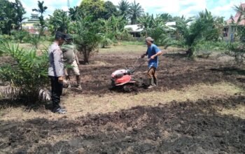 Polsek Tambusai Utara Turun Langsung Mengawal Ketahanan Pangan di Desa Pagar Mayang
