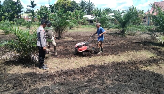 Polsek Tambusai Utara Turun Langsung Mengawal Ketahanan Pangan di Desa Pagar Mayang