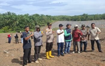 Sinergi Polsek Tambusai Bersama Desa Talikumain Dorong Swasembada Pangan Berkelanjutan